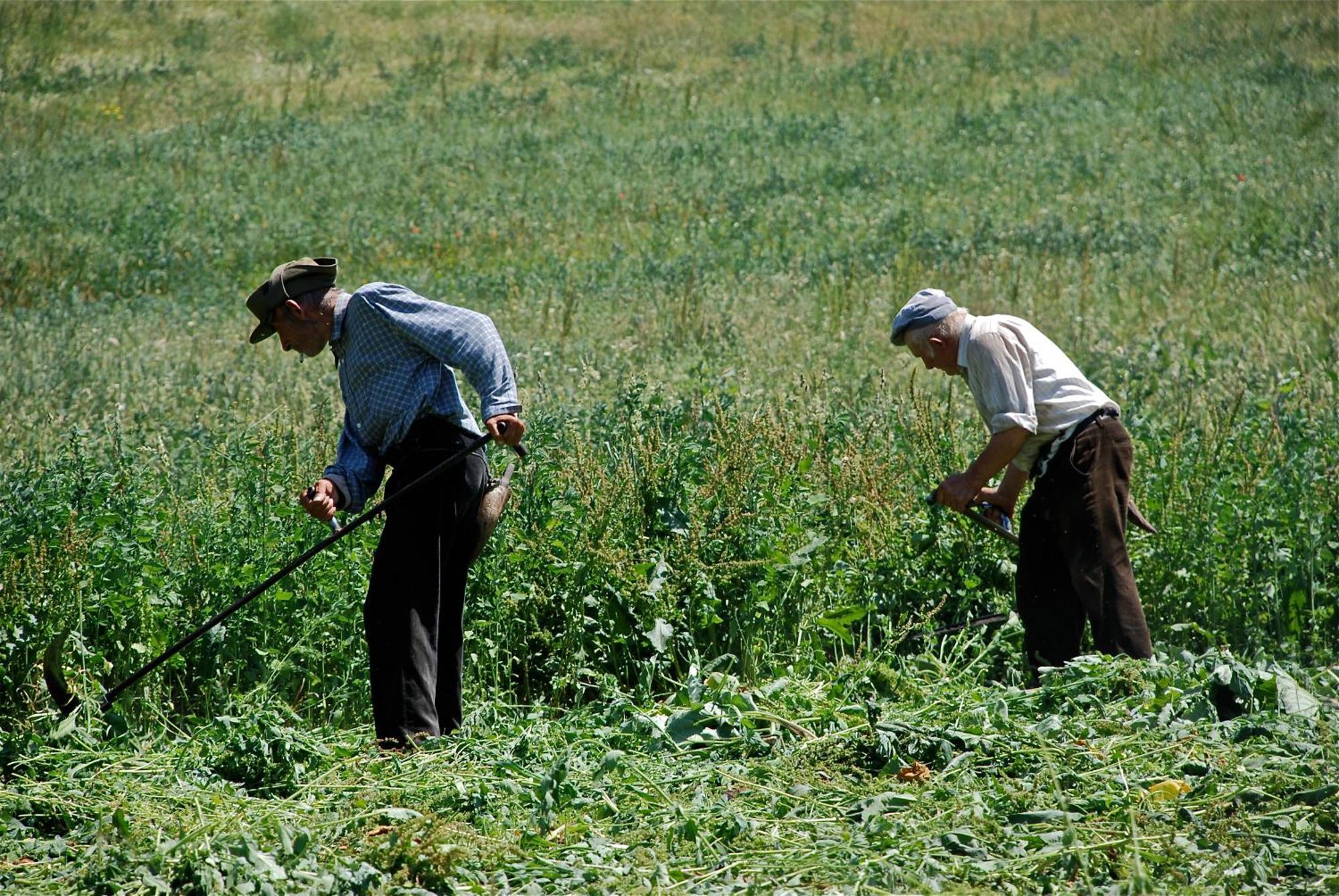 Turisme Rural Lo Palle De Cal Bosch Llagunes Exterior photo