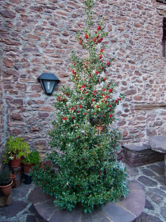 Turisme Rural Lo Palle De Cal Bosch Llagunes Exterior photo