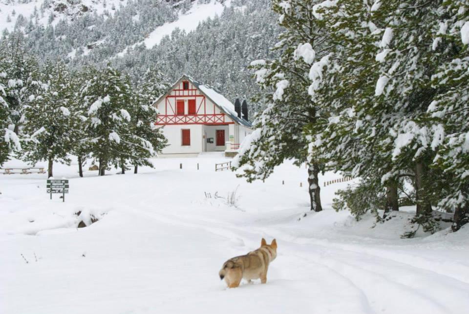 Turisme Rural Lo Palle De Cal Bosch Llagunes Exterior photo
